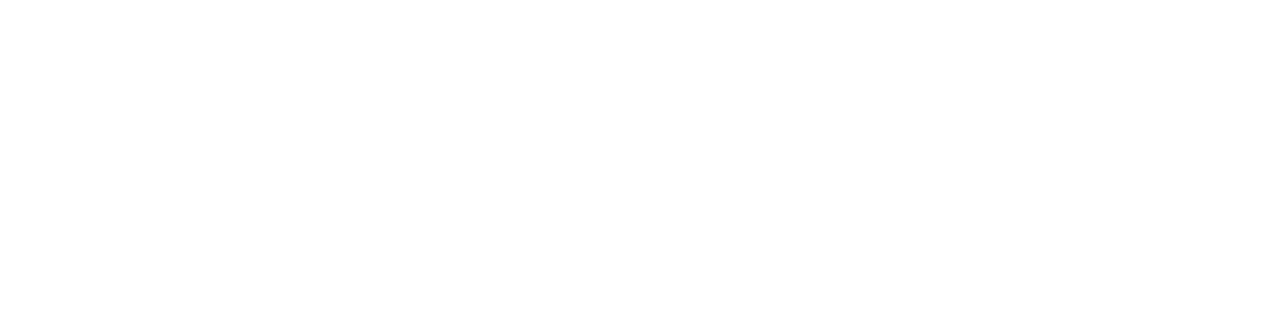 Servicios de Logistica Argo